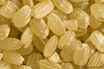 arroz japonica organico